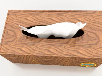 LUXURY DESIGN TISSUE BOX 3D model
