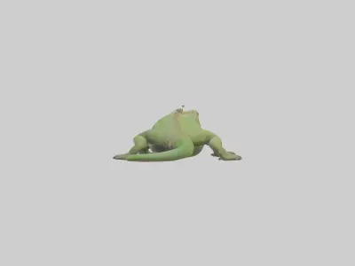 Jamaican Iguana basking model Low-poly 3D model