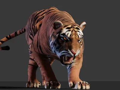 Tiger 3D Realistic Model  3D model