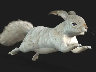 Squirrel-A2 3D model