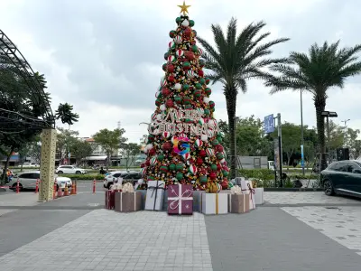 Australia Christmas Tree Concept 3D model