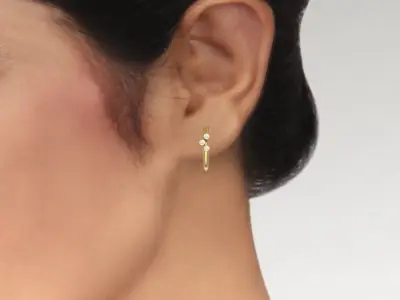 Jewelry Earrings  3D print model