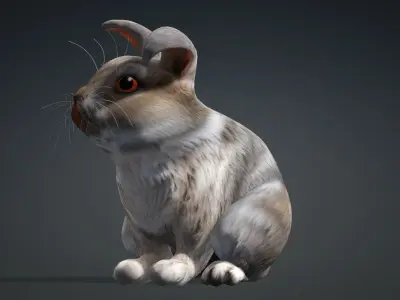 Rabbit-A3 3D model