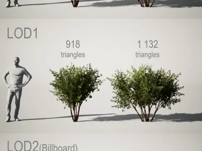 YarovoiPlantsPack plants and grasses Low-poly 3D model