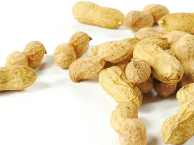 polypasta - peanut 01 and 02 3D model