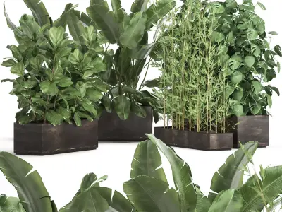 Exotic plants in a rusty flowerpot for the interior 993 3D model