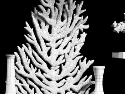 A decorative set of corals and vases consisting of 14 items 3D model