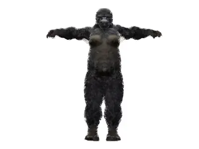 Gorilla Avatar 3D model