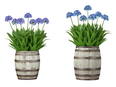 24 Flowers Collection 3D model