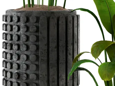 Indoorplant 01 Low-poly 3D model