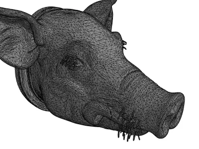 Realistic Pig Head Bust PBR Low-poly 3D model