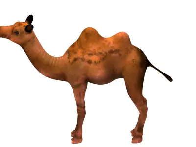 camel  rig  high-poly  textured 3d model 3D model