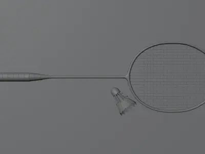 Badminton Racket and Shuttlecock - High Polly 3D model
