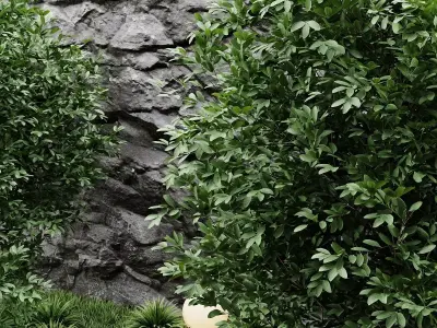 Modern Indoor Zen Garden with Glass Enclosure and Stone Wall 3D model