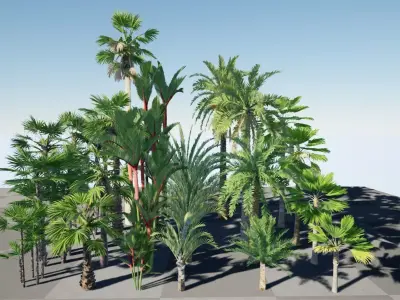 HQ Plants Volume 7 Palms for unreal engine 3D model set of 24 3D model