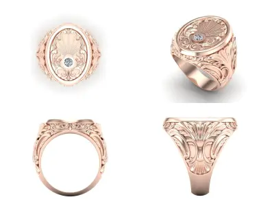 Ring shp14 3D print model