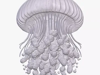 Jellyfish 7 basrelief for 3D printing 3D print model