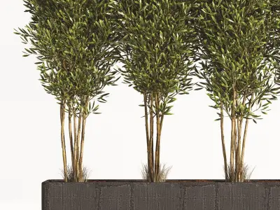 Indoor Plant Set 06 3D model