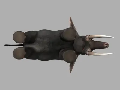 Asian Elephant Rig Low-poly 3D model