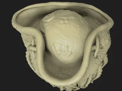 skull pendant jewelryPirate  vol2  3D print model