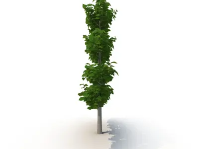 Decorative branch tree 3D model