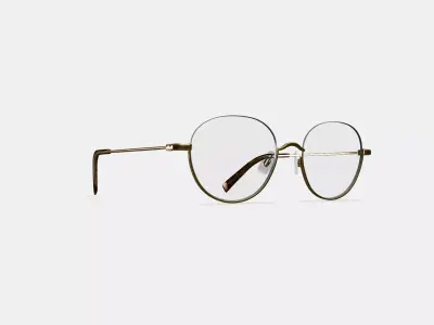 Satler Eyeglasses in Polished Gold 3D model