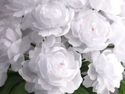 Giant white peonies hall glass vase  3D model