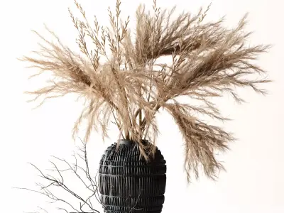 Brown Pampas 3D model