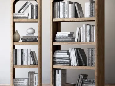 Book collection bookcases for living room 3D model