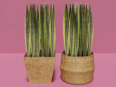 Wicker Flower Baskets Set 3D model