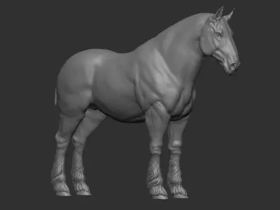 Three Horse Breeds 3D print model