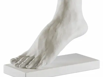 foot sculpture 3D model