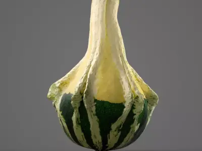 Decorative Pumpkin 8K Low-poly 3D model