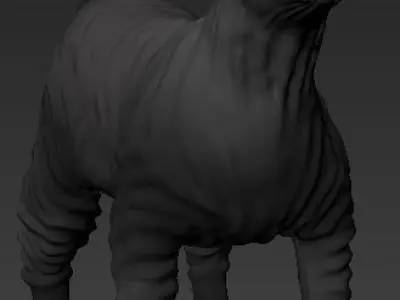 Cat Sphynx   3D model