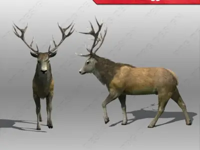 stag Deer Low-poly 3D model