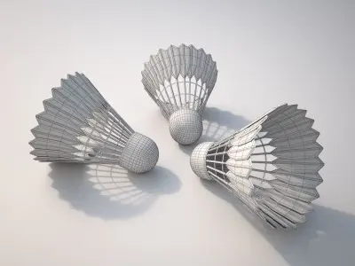 Badminton Balls 3D model