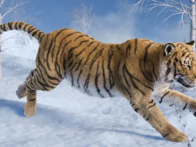 Tiger Rigged Animated 3D model