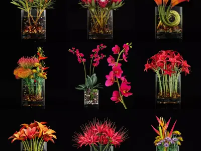 Plant collection 3 tropical arrangement in glass vase