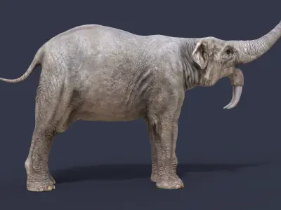 Deinotherium thraceiensis 3D model