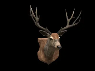Deer Head - PBR - Textured Low-poly 3D model