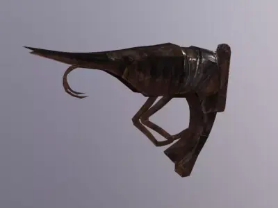 Sign Shrimp Low-poly 3D model