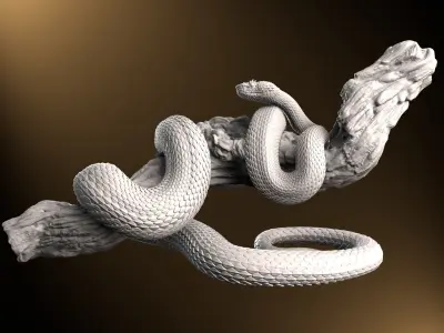 Eyelash Pit Viper Realistic Exotic Snake 3D Print Model 3D print model