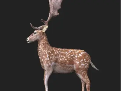 deer High Poly with antlers 3D model