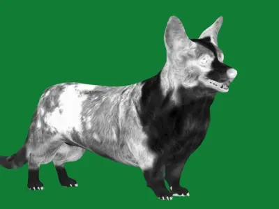 Cardigan Welsh Corgi Dog Low-poly 3D model