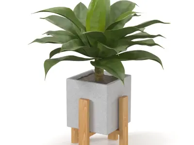 Artificial Agave Succulent Plant PBR 3D model