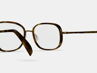 Fernanda Eyeglasses in Cognac Tortoise with Polished Gold 3D model