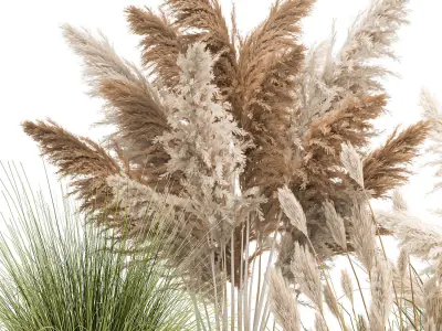 Ornamental plants in white rattan baskets 1080 3D model