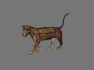 ultimate leopard Rigged 1 3D model