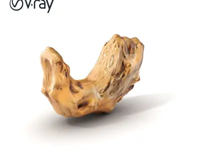 Driftwood Gold Accents Sculpture model pack Low-poly 3D model