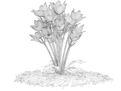 Pasque Flowers Pulsatilla Vulgaris 3D model